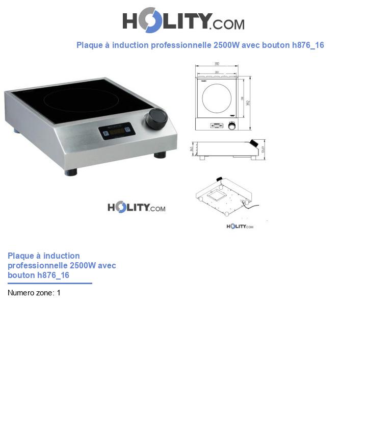 Plaque à induction professionnelle 2500W avec bouton h876_16