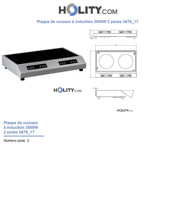 Plaque de cuisson à induction 3500W 2 zones h876_17