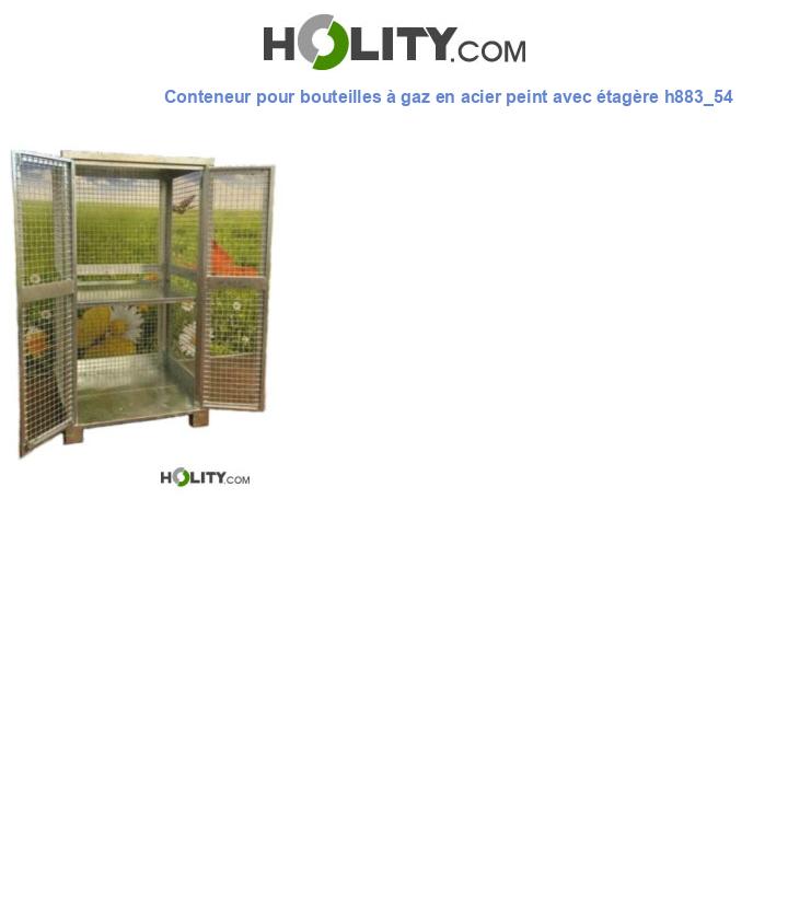 Conteneur pour bouteilles à gaz en acier peint avec étagère h883_54