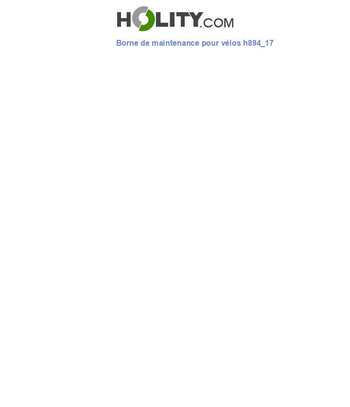 Borne de maintenance pour vélos h894_17