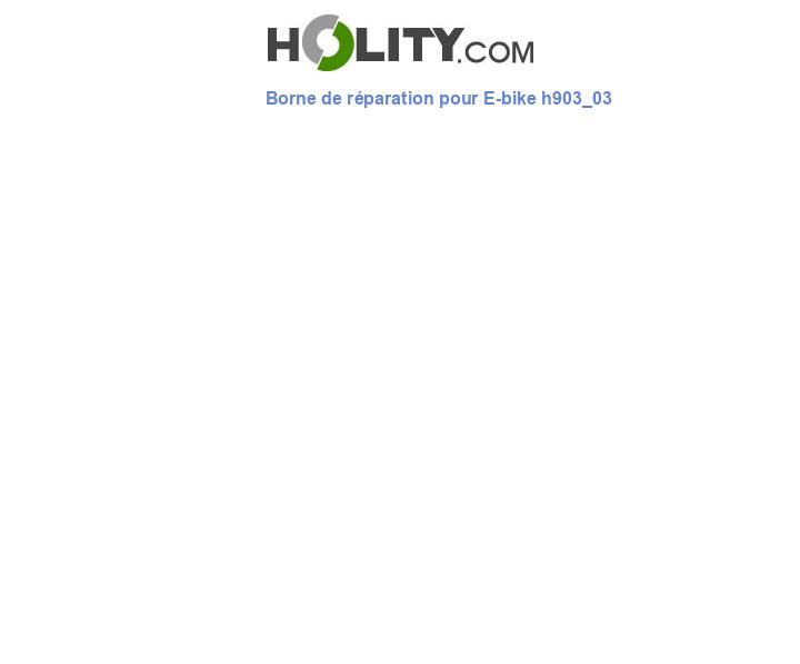 Borne de réparation pour E-bike h903_03