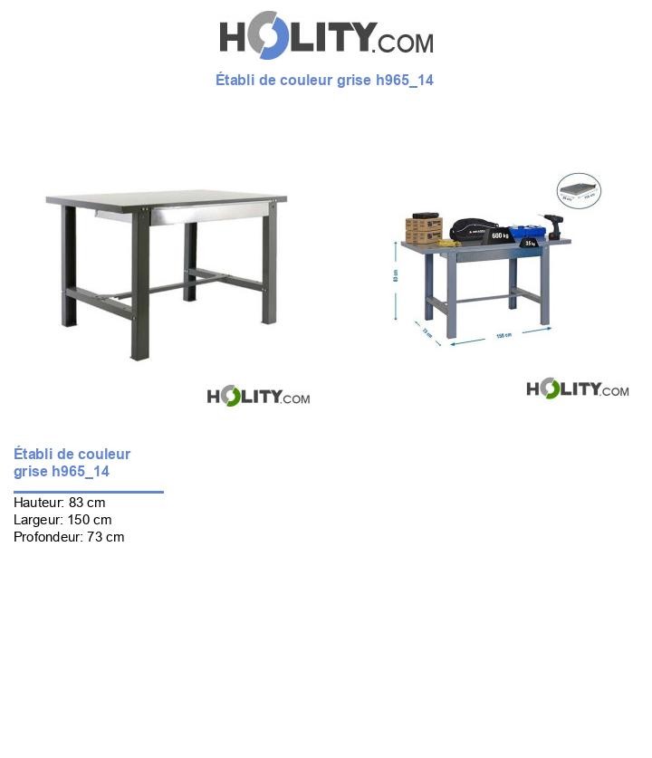 Établi de couleur grise h965_14