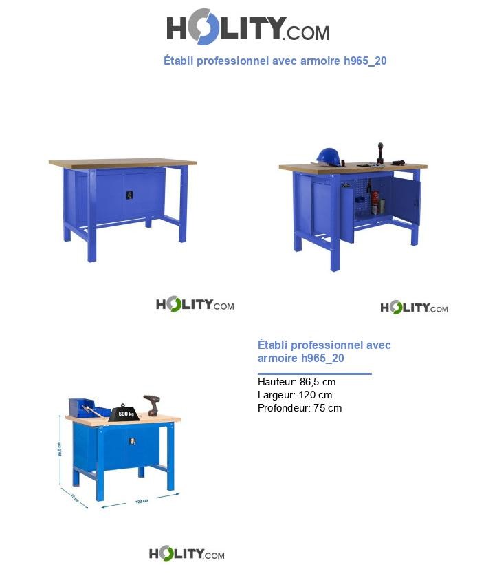 Établi professionnel avec armoire h965_20