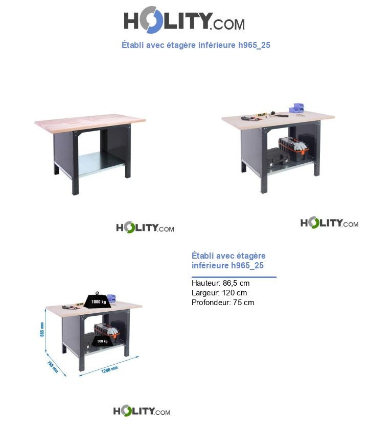 Établi avec étagère inférieure h965_25