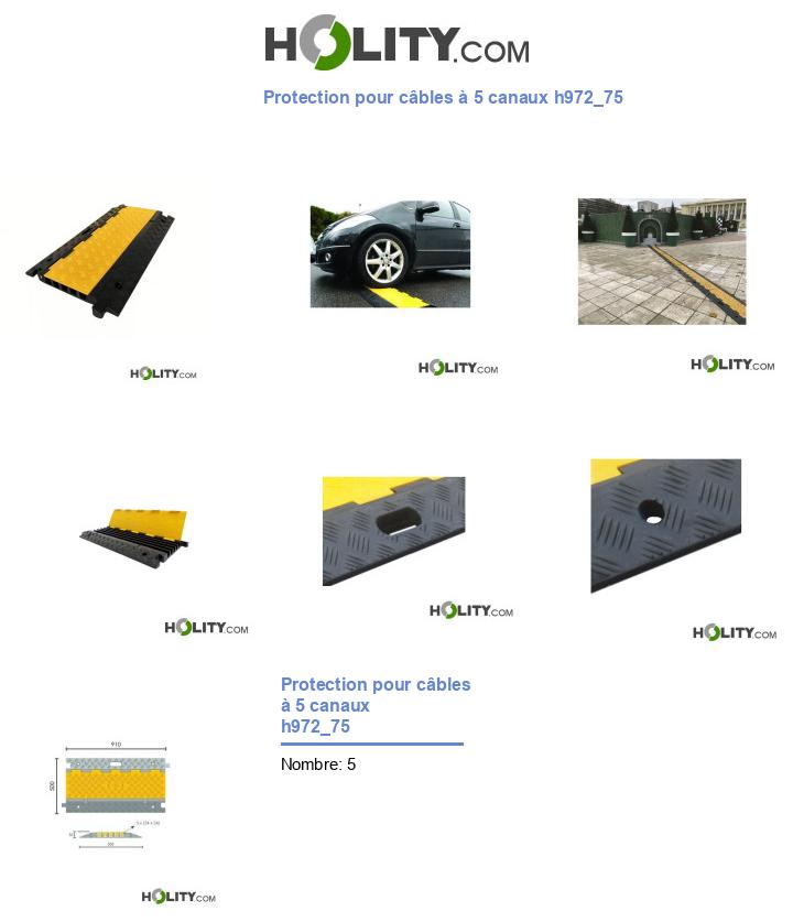 Protection pour câbles à 5 canaux h972_75