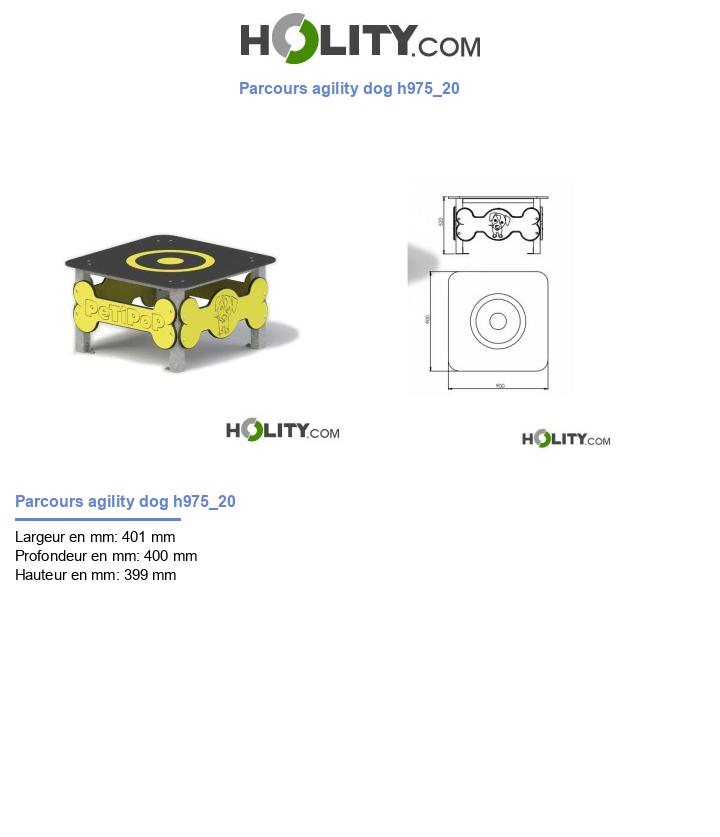 Parcours agility dog h975_20