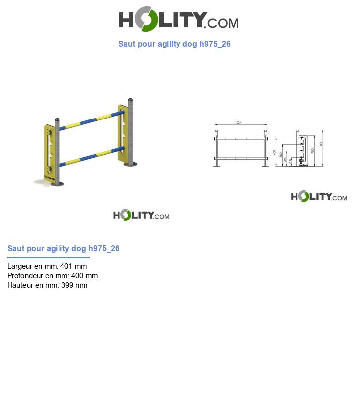 Saut pour agility dog h975_26