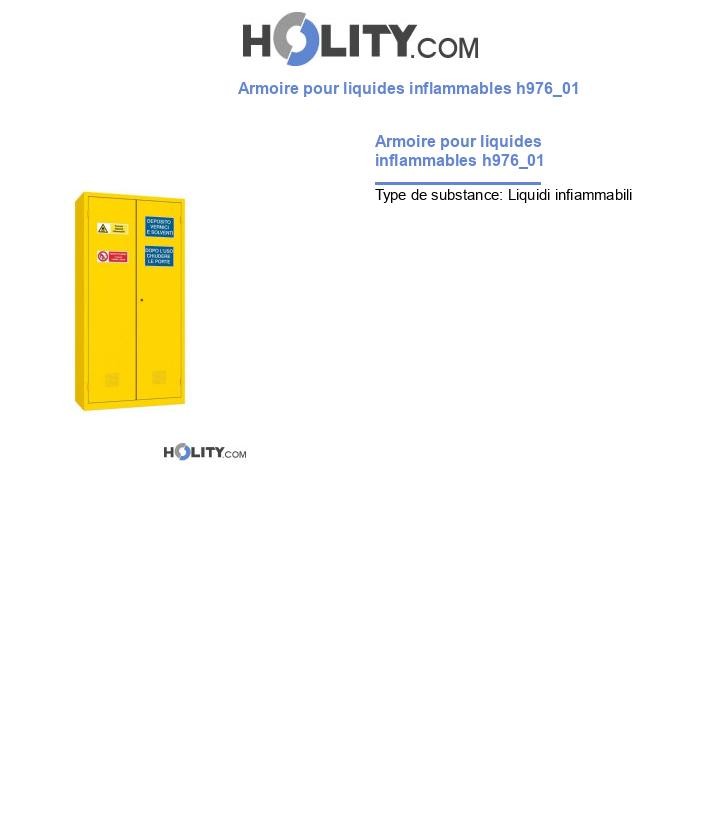 Armoire pour liquides inflammables h976_01