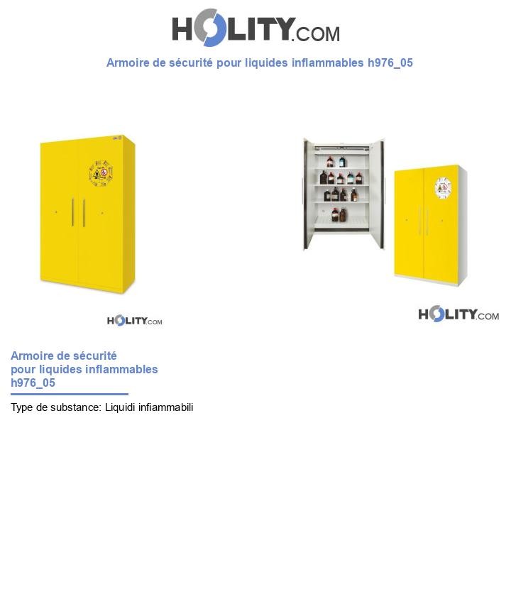 Armoire de sécurité pour liquides inflammables h976_05